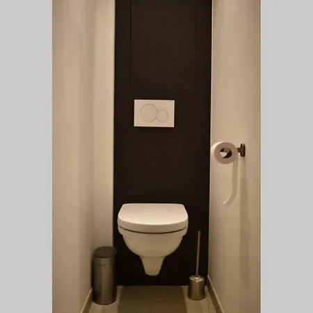 Vernieuwd Op 200m De Zee Ostende